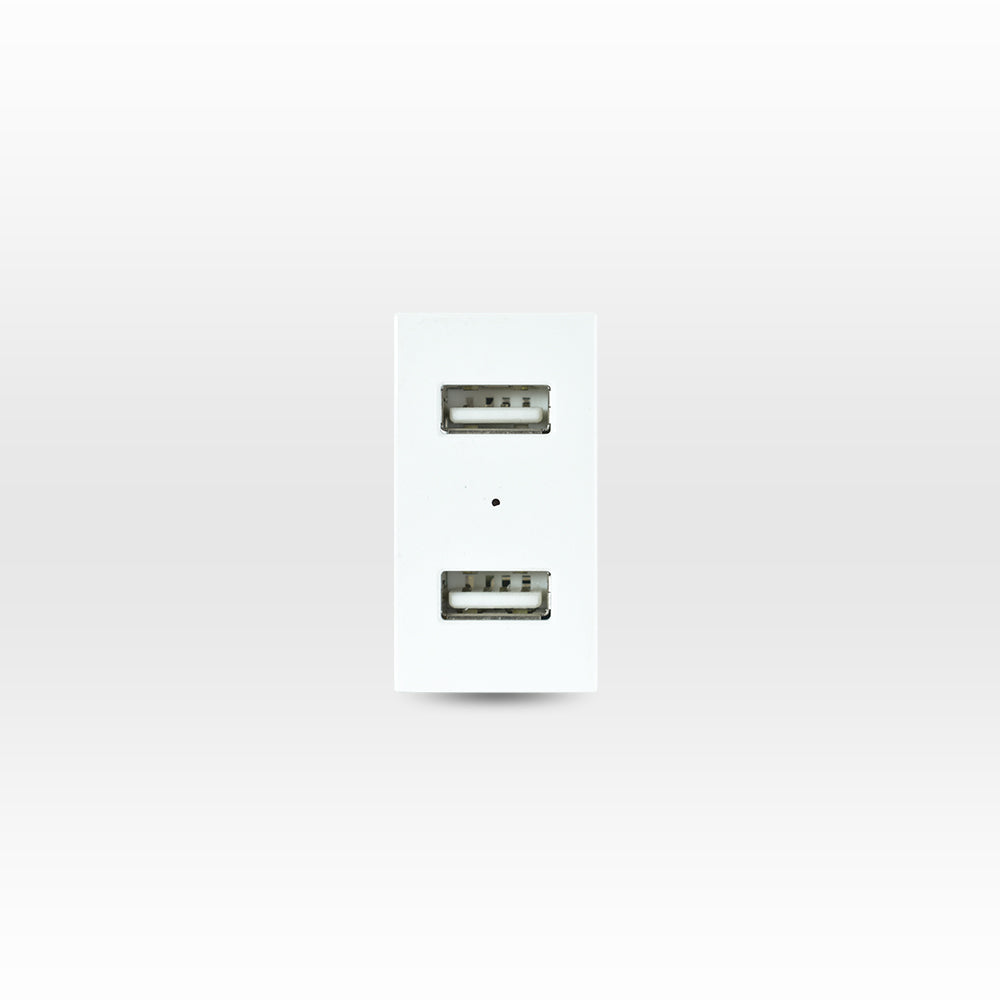 MÓDULO TOMA USB 5V C.C. 1100MA BLANCO