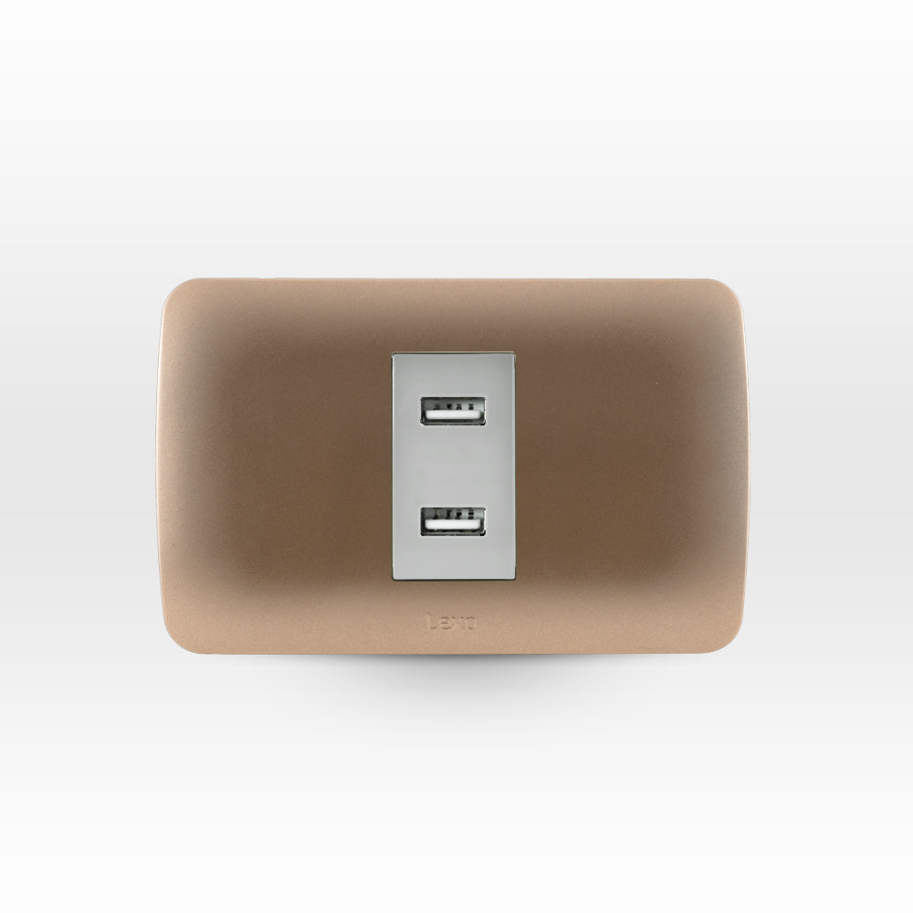Toma USB 5V C.C. 2.4A beige/titanio armado
