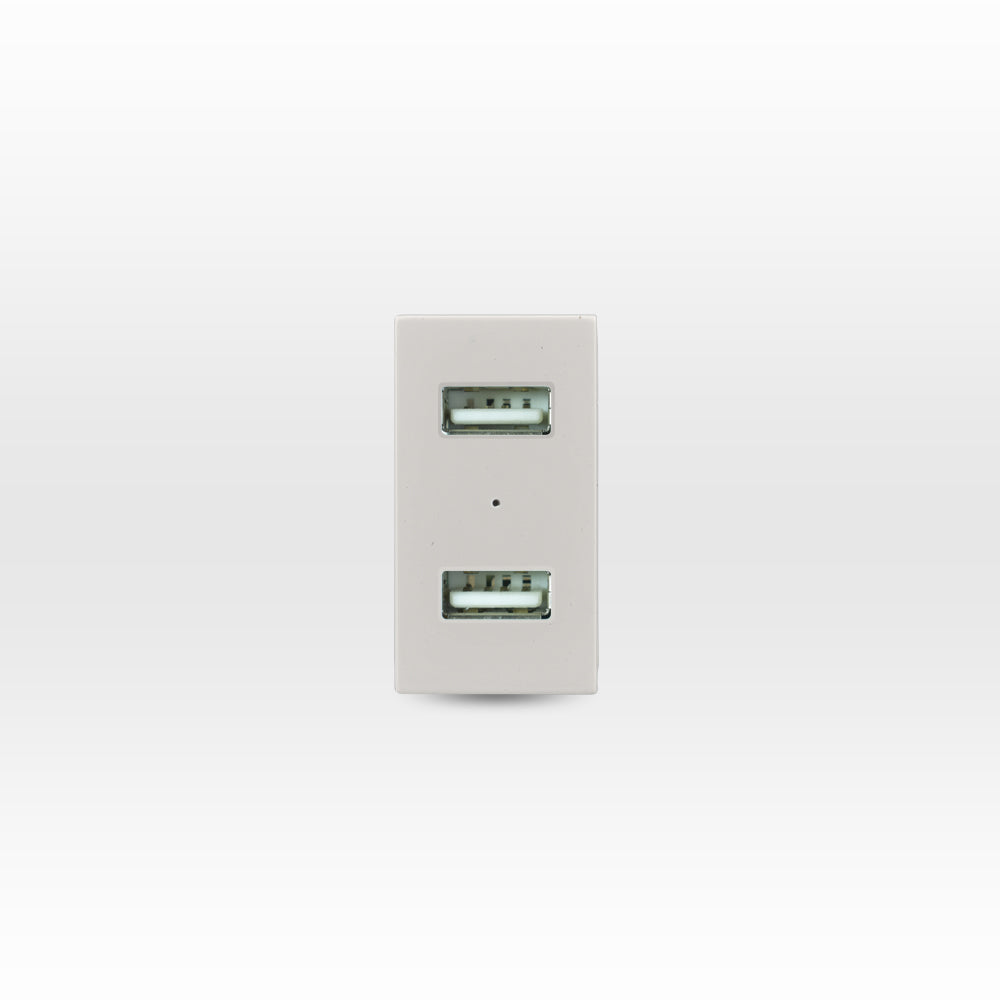 MÓDULO TOMA USB 5V C.C. 1100MA BEIGE