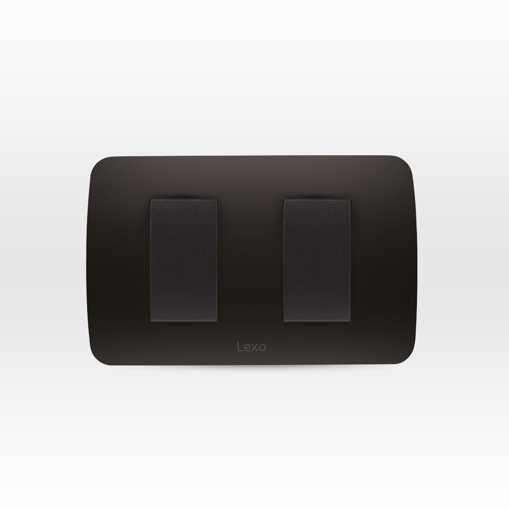 INTERRUPTOR DOBLE 9/15 10A 250V GRAFITO ARMADO