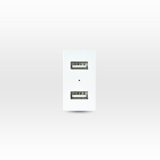 MÓDULO TOMA USB 5V C.C. 1100MA BLANCO