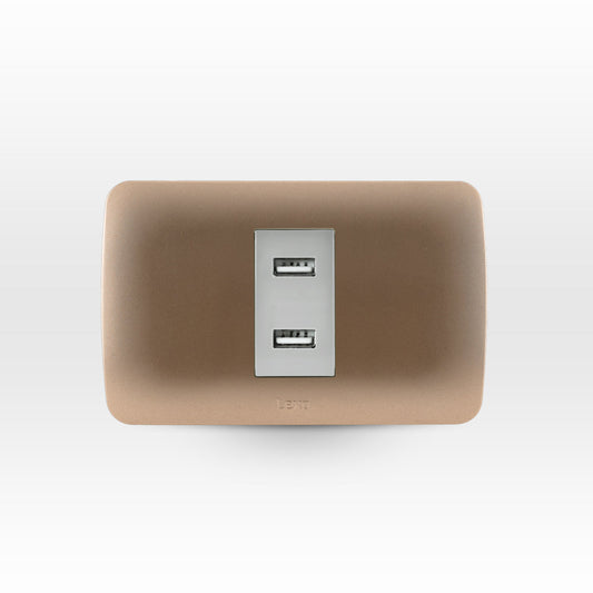 Toma USB 5V C.C. 2.4A beige/titanio armado